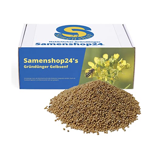 Samenshop24® Gelbsenf, Inhalt: 1kg (für ca. 200m²), schnellwüchsig, für Gute Bodenlockerung, Wirtspflanzen für Falter, Bodenkur & Gründünger, Premium Saatgut für einen gesunden Gartenboden von Samenshop 24