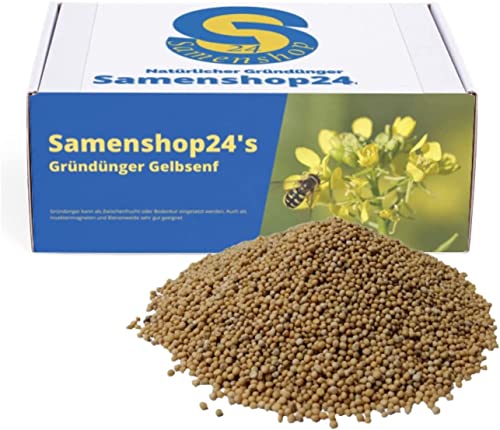 Samenshop24® Gelbsenf, Inhalt: 2kg (für ca. 400m²), schnellwüchsig, für gute Bodenlockerung, Wirtspflanzen für Falter, Bodenkur & Gründünger, Premium Saatgut für einen gesunden Gartenboden von Samenshop 24