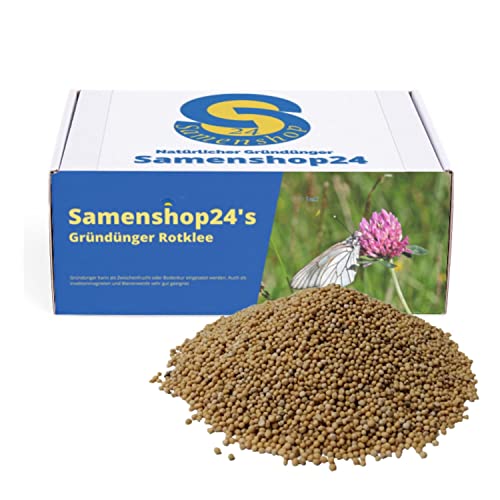 Samenshop24® Rotklee (Gründünger), Inhalt 1kg für 280m², Stickstoffsammler, wertvolle Futterpflanze für Bienen, Hummeln, Schmetterlinge, Nützlinge von Samenshop 24