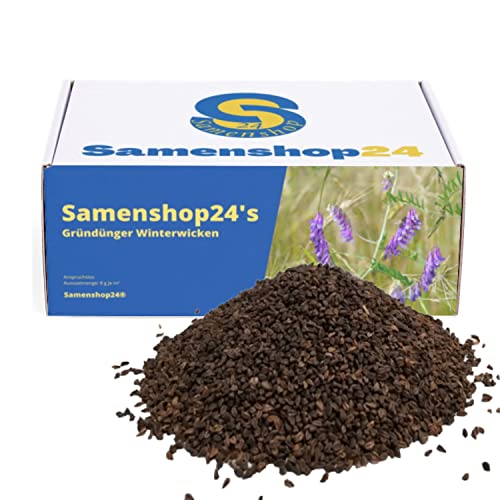 Samenshop24® Winterwicken Vicia villosa, Inhalt: 1kg für ca. 125m², Gründüngung, sehr dichte Bodenbedeckung, gute Vorfrucht, auch als Winterzwischenfrucht von Samenshop 24