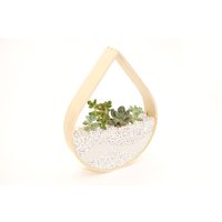Regentropfen-Pflanzgefäß-Terrarium Gebogenes Holz Regentropfen-Pflanzgefäß-Terrarium Gebogenes Holz von SamichiDesign