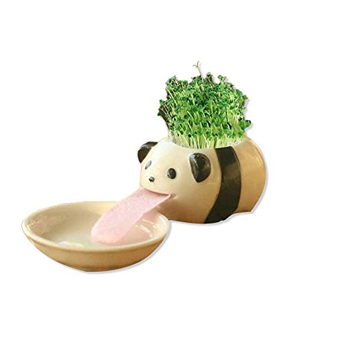 Automatischer Bewässerungs-Blumentopf mit Zunge und süßem Tier, Panda, Katze, Hund, Keramik von Samine