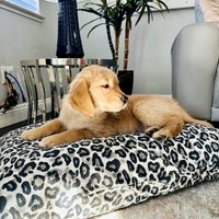 Leopard Hundebett Abdeckung, Animal Print Bettdecke, Personalisierte Haustier Bett, Benutzerdefinierte Hundebett, Boho Waschbar in Mehreren Größen von SammysBedsandThreads