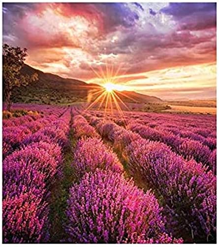 Samsung Smart LED Signage – Serie IFH-E – Pick: 2,5 mm – Helligkeit: 1000/2000 Nit – HDR-Technologie – Maße des Moduls: 480 x 540 x 65 mm Samsung Smart LED Signage – Serie IFH-E – Pick: 2,5 mm – Helligkeit: 1000/2000 Nit – HDR-Technologie – Maße des Moduls: 480 x 540 x 65 mm von Samsung