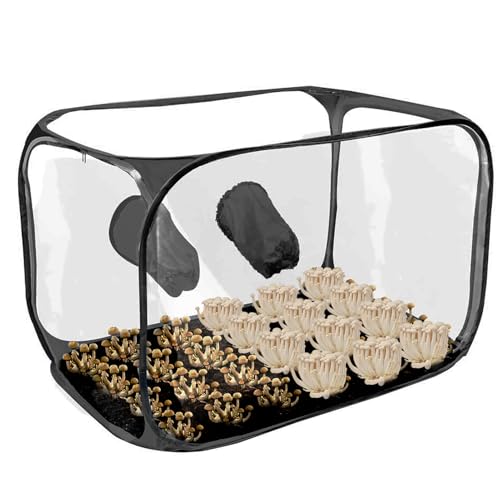 Mushroom Still Air Box,Still Air Box für Mushroom - Anzuchtstationen Growzelt-Set - Pop-up-Design, Faltbare Wachstumsbehälter, Gartenbauzubehör für Pilzexperimente von Samuliy