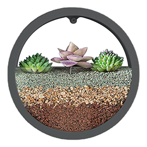 Samuliy Runder Wand-Blumentopf | Klare Wand-Pflanzgefäße – Wandvase Sukkulenten Pflanzgefäß Kreis Runde Blumentopf Vase Dekoration Behälter Halter für Sukkulenten Luftpflanzen von Samuliy