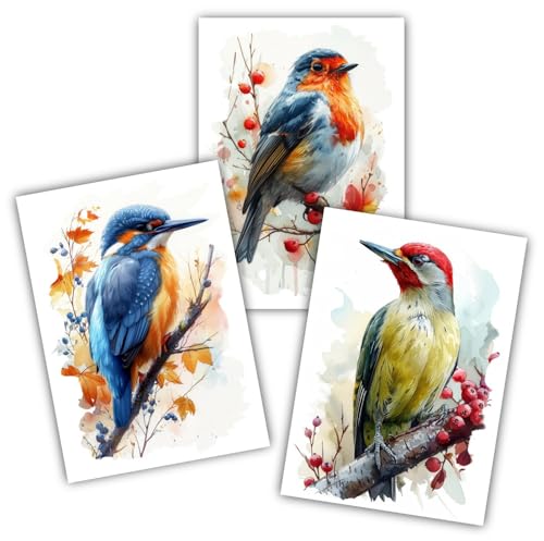 Samunshi® 3x Kunstdruck Vogel Poster Set mit Eisvogel Rotkehlchen Grünspecht Bilder für Jugendzimmer Deko Geschenk DIN A4 21x29,7cm von Samunshi