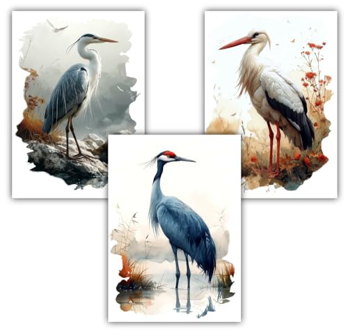 Samunshi® 3x Poster Vogel Set mit Storch Kranich Fischreiher Bilder für Jugendzimmer Deko Geschenk DIN A4 21x29,7cm von Samunshi