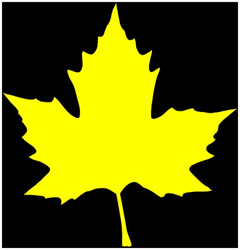 Samunshi® Aufkleber Ahornblatt Autoaufkleber Ahorn 19 x 20cm gelb von Samunshi