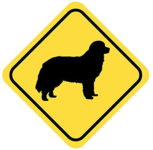Samunshi® Berner Sennenhund Warnschild Warndreieck Aufkleber Achtung Vorsicht Hund - 40x40cm mehrfarbig von Samunshi