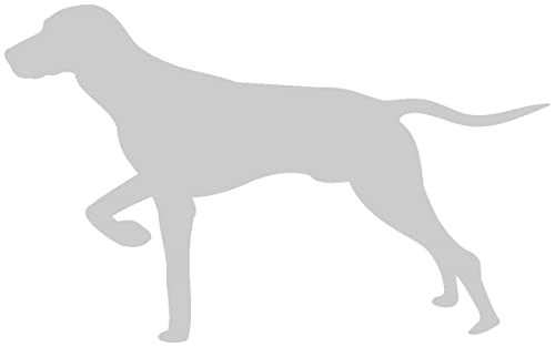 Samunshi® Magyar Vizsla Hunde Aufkleber Autoaufkleber Sticker in 7 Größen und 25 Farben (15x9,3cm Silber) von Samunshi