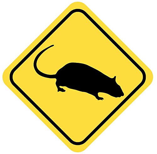 Samunshi® Ratte Warnschild Warndreieck Aufkleber Achtung Vorsicht Tier - 25x25cm mehrfarbig von Samunshi