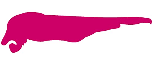 Samunshi® Schiermonnikoog Insel Aufkleber Inselaufkleber Friesland Holland Nordsee in 8 Größen und 25 Farben (10x2,2cm pink) von Samunshi