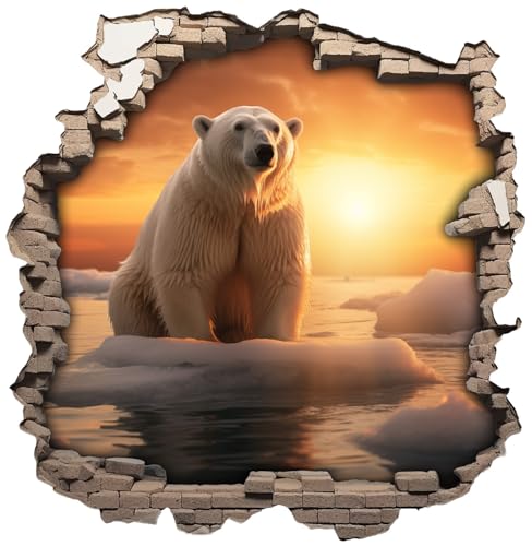 Samunshi® Wandaufkleber Wandriss mit Eisbär Wandsticker Fenster in andere Welt für Kinderzimmer Wohnzimmer Küche Wanddekoration Wallart 50x50cm von Samunshi