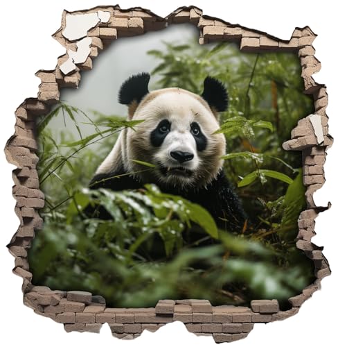 Samunshi® Wandaufkleber Wandriss mit Pandabär Wandsticker Fenster in andere Welt für Kinderzimmer Wohnzimmer Küche Wanddekoration 50x50cm von Samunshi