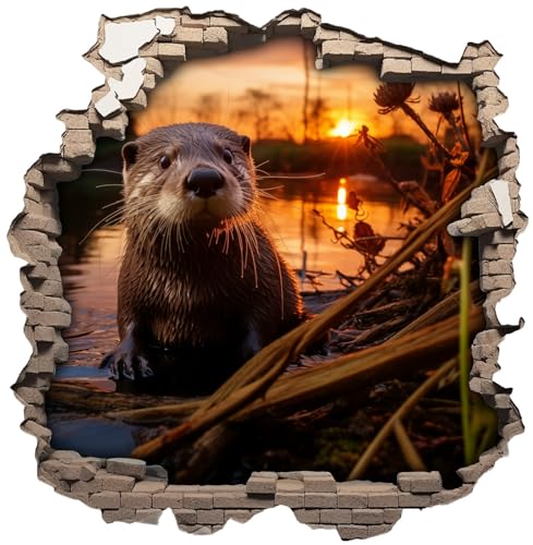 Samunshi® Wanddeko Wandriss mit Otter Fenster in andere Welt Portal Wallart Wandtattoo für Wohnzimmer Küche Wandaufkleber Wandsticker 70x70cm von Samunshi