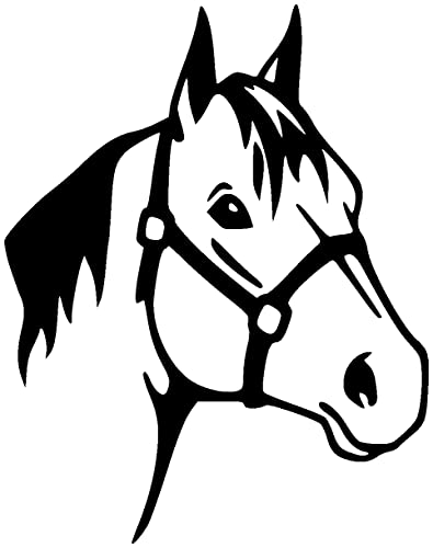 Samunshi® Wandtattoo Pferdekopf 'Fabiola' Wandidee 24 x 30cm schwarz von Samunshi