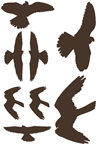 Samunshi® Wandtattoo Vogelschutzaufkleber Falken-Set 60x40cm braun von Samunshi