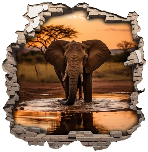 Samunshi® Wandtattoo Wandriss mit Elefant Fenster in andere Welt Wanddekoration Wandsticker für Wohnzimmer Küche Wandaufkleber Wanddeko 30x30cm von Samunshi