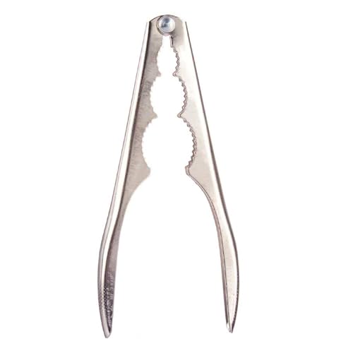 Drehbarer Kapselhalter für 36 Kapseln, kleine Kollektion Kinvara Drehbarer Kapselhalter für 36 Kapseln, kleine Kollektion Kinvara von San Ignacio