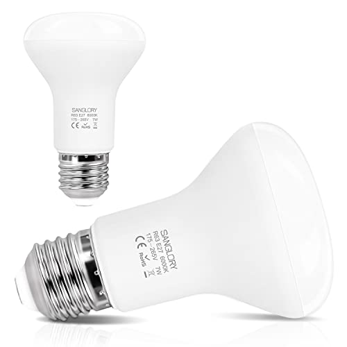 SanGlory LED Reflektor R63 E27 Birnen, 7W 810 Lumen Lampe, 6000K Kaltweiß Ersetzt 60W Glühlampe, R63 Edison Glühbirne Mit 120° Abstrahlwinkel, Nicht Dimmbar, 2er Pack von SanGlory