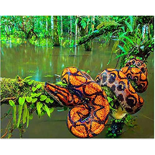 SanZez DIY-Diamant-Kunst, Python-Schlange, 5D-Diamant-Malerei-Set für Erwachsene, Vollbohrer, Mosaik-Stickerei, Dimond-Bild, 30 x 40 cm von SanZez