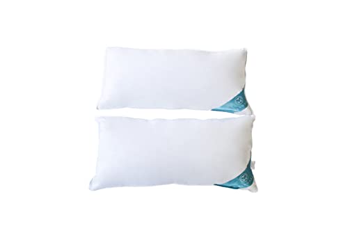 Sandaro Home Kopfkissen 40x80 2er Set Daunen-Federnkissen 3 Kammern (750gramm)- Öko-Tex Zertifiziert | Kopfkissen 40x80 100% Naturprodukt in reinem Baumwollbezug, Ultra Comfort Sleeping Pillow von Sandaro Home