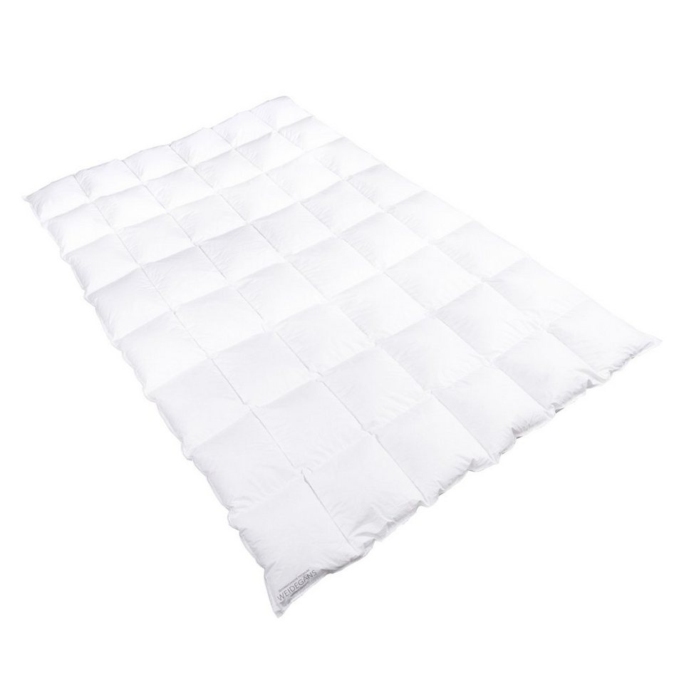 Sanders Kauffmann Gänsedaunenbettdecke Weidegans, Füllung: 100% Gänsedaunen, Bezug: 100% Baumwolle, ausgezeichnete Qualität für erholsamen Schlaf von Sanders Kauffmann