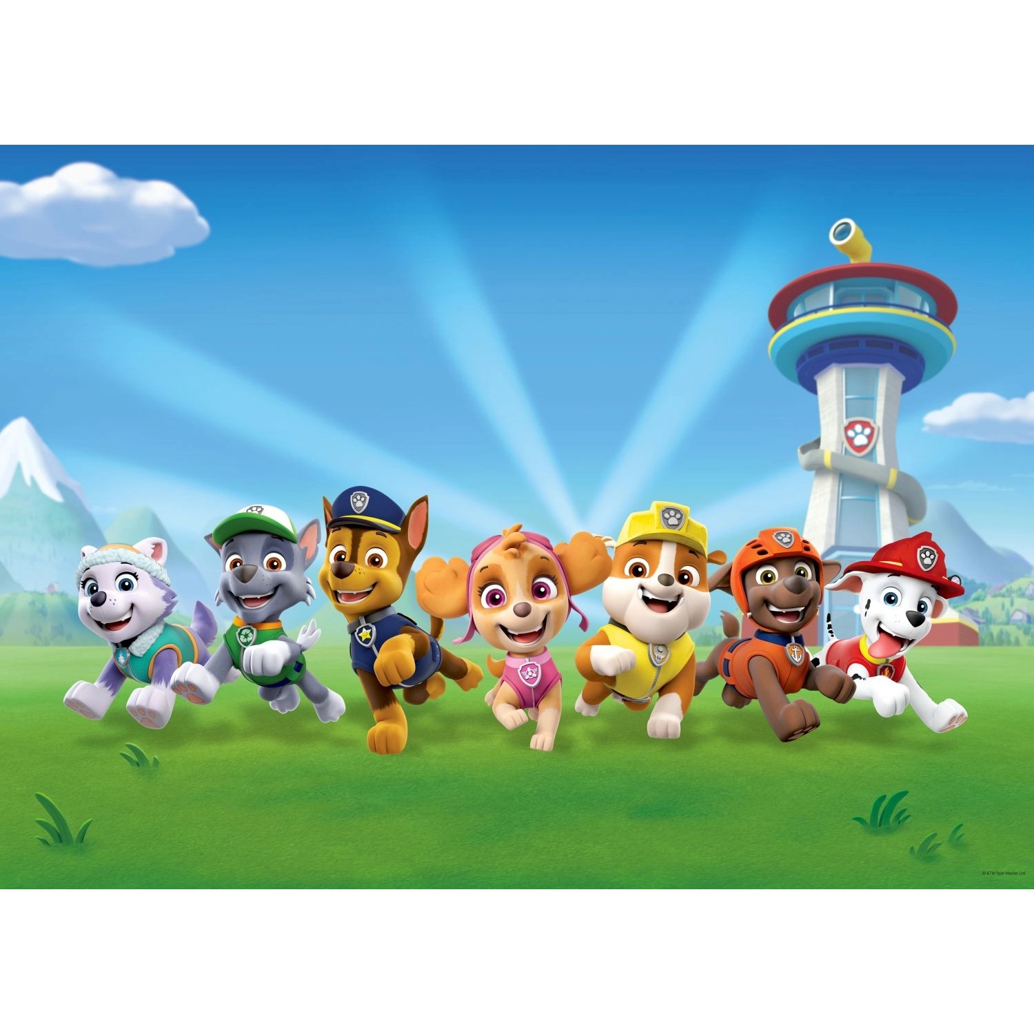 Sanders & Sanders 0 Paw Patrol Grün und Blau 2,52 x 1,82 m 600965 von Sanders & Sanders