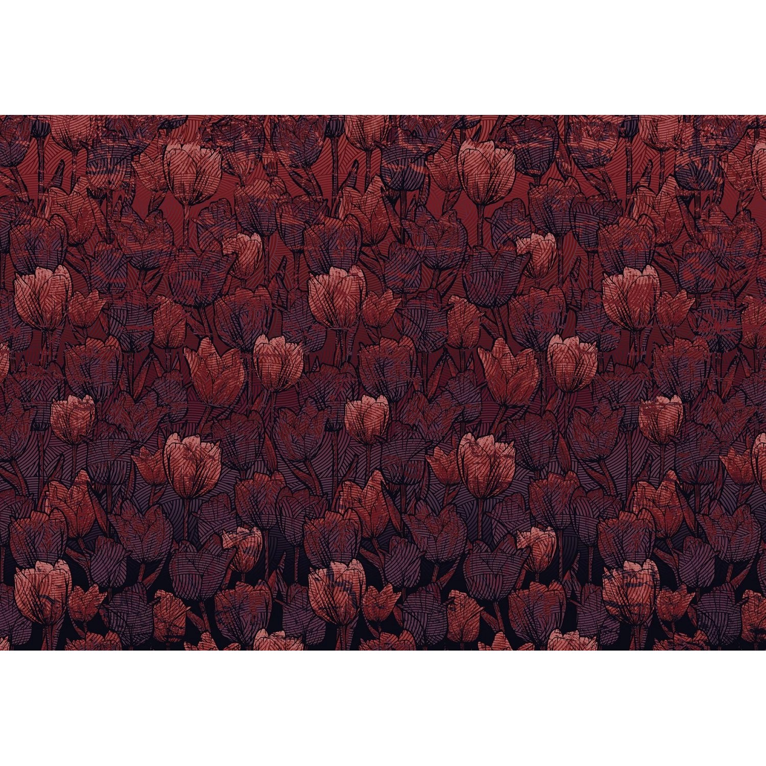 Sanders & Sanders Fototapete Tulpen Rot 400 x 280 cm 611861 von Sanders & Sanders