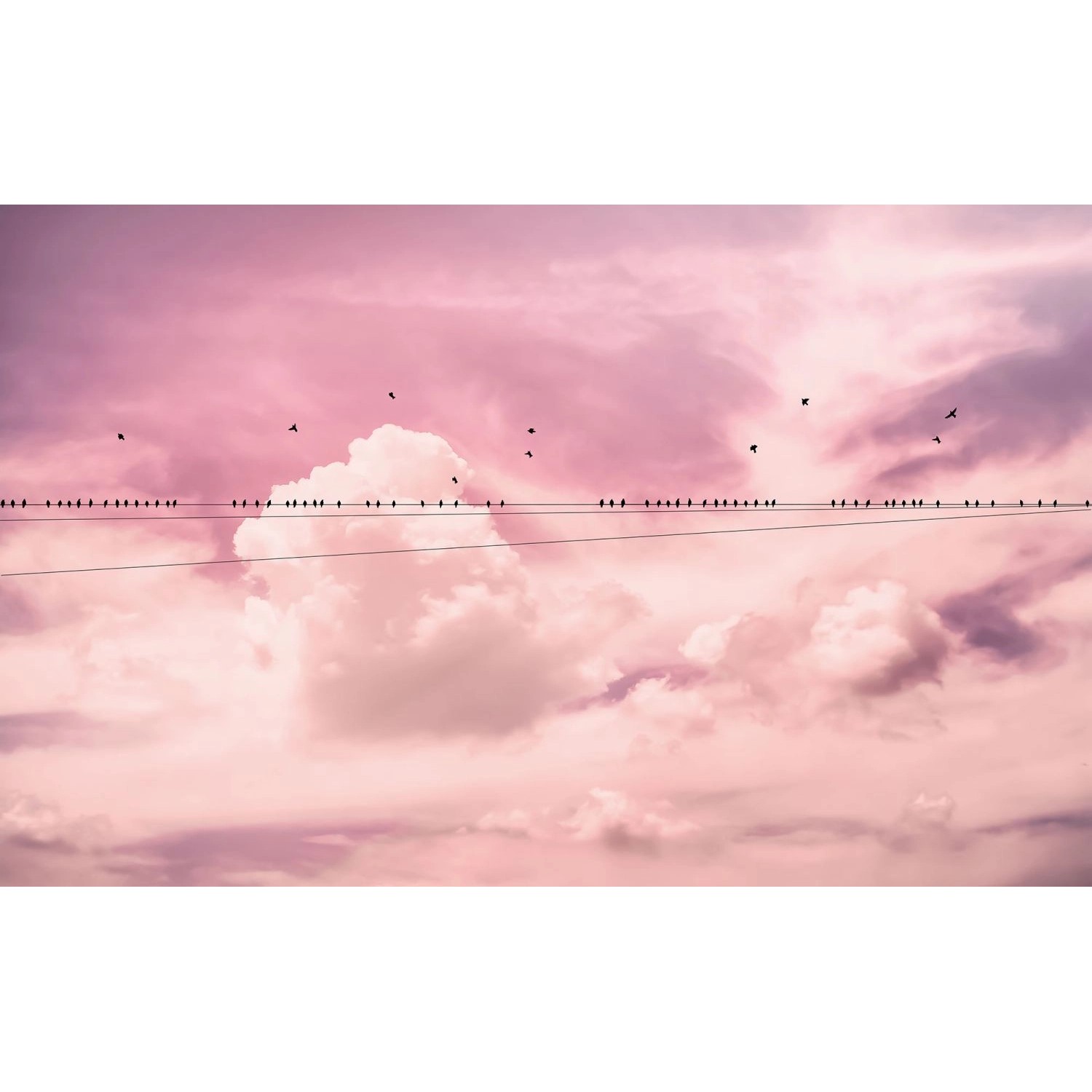 Sanders & Sanders Fototapete Wolken Rosa 400 x 250 cm 612342 von Sanders & Sanders