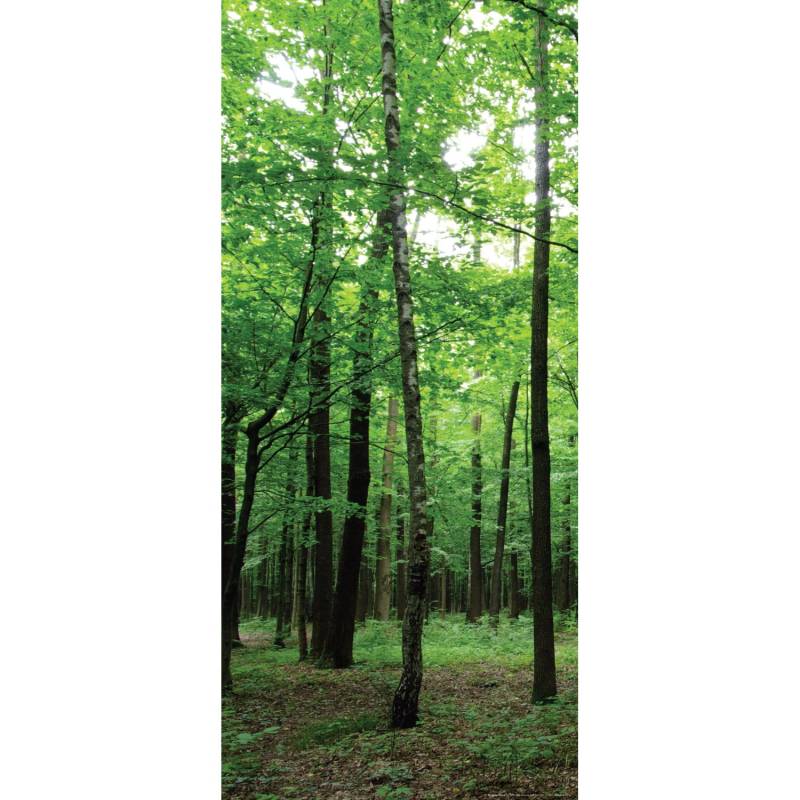Sanders & Sanders Poster Bewaldete Landschaft Grün 90 x 202 cm 600829 von Sanders & Sanders