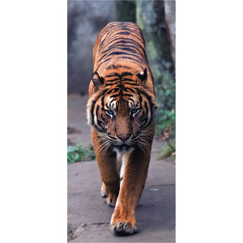 Sanders & Sanders Poster Katze Orange und Grau 90 x 202 cm 600785 von Sanders & Sanders