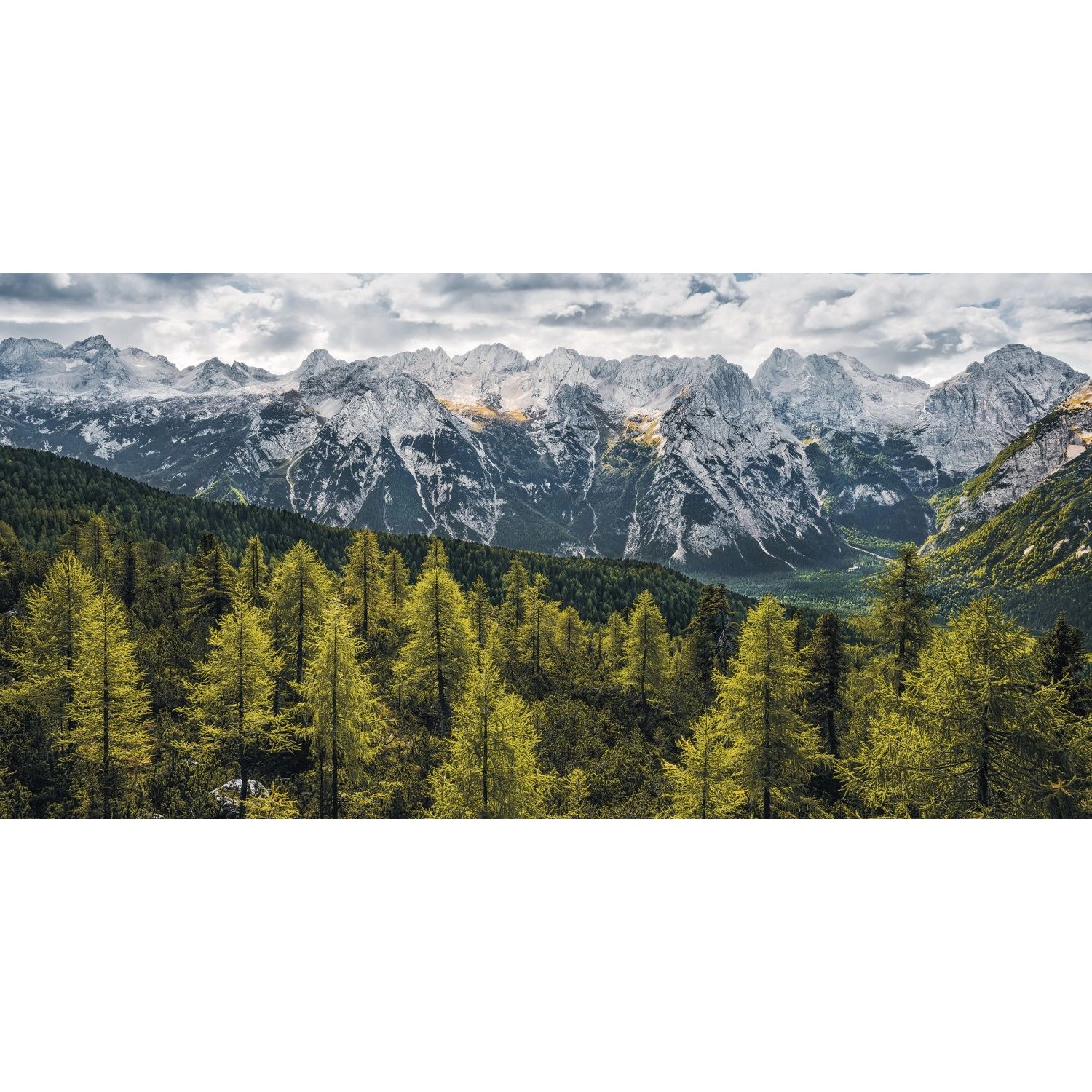 Sanders & Sanders Poster Landschaft Grün und Grau 200 x 100 cm 612570 von Sanders & Sanders