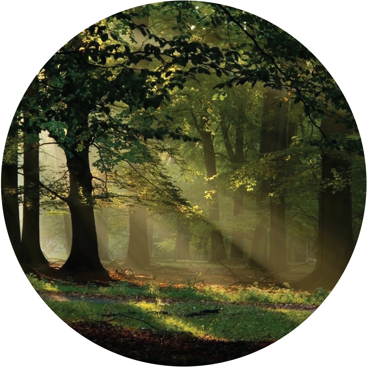 Sanders & Sanders Selbstklebende Runde Tapete Bewaldete Landschaft Grün Ø 140 cm 601134 von Sanders & Sanders