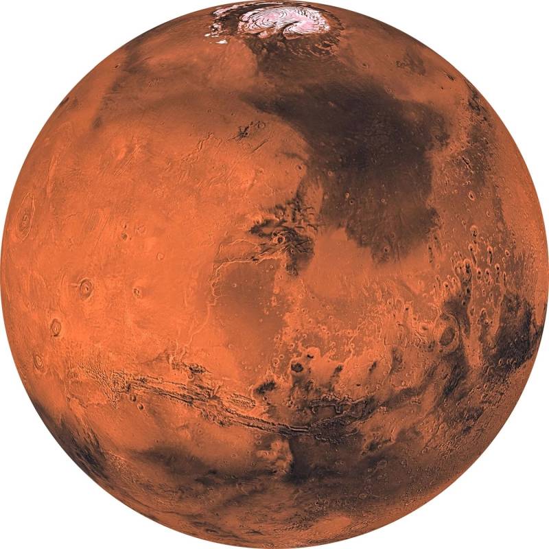 Sanders & Sanders Selbstklebende Runde Tapete Planet Mars Terrakotta Ø 125 cm 611761 von Sanders & Sanders