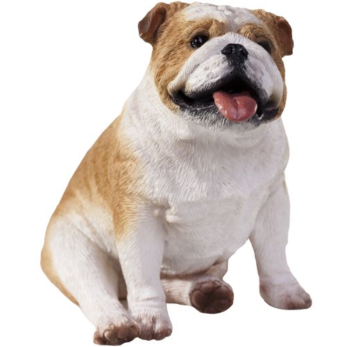 Sandicast Fawn Bulldog Sculpture, Sitting, Small Size von Sandicast