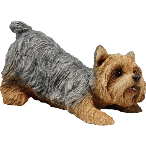 Sandicast Small Size Yorkshire Terrier Sculpture - Crouching von Sandicast