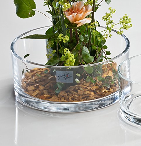 3x Glasschale Automatic klar rund 8 cm Ø 19 cm von Sandra Rich 3x Glasschale Automatic klar rund 8 cm Ø 19 cm von Sandra Rich von Sandra Rich