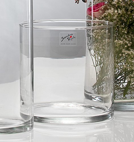 5x Glasvase CYLI Glas Vase Tischvase Blumenvase Zylinder 15 cm von Sandra Rich