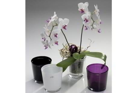 Orchideentopf aubergine ø12,5 / 6 Stück von Sandra Rich