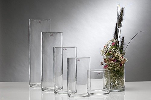 Glasvase CYLI Glas Vase Tischvase Blumenvase Zylinder 50 cm von Sandra Rich