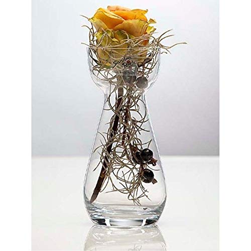 Glasvase HYACINTH Hyazinthenglas Vase Glas Blumenvase Tischvase, 17 cm von Sandra Rich