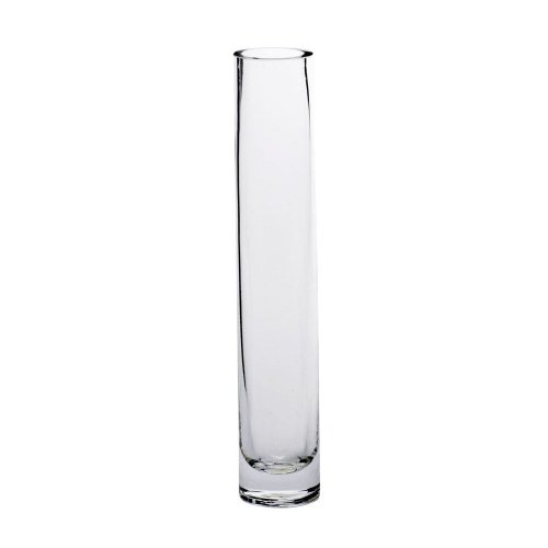 Sandra Rich Glasvase, Blumenvase SOLIFLEUR H. 22 cm D. 4cm rund transparent Sandra Rich Glasvase, Blumenvase SOLIFLEUR H. 22 cm D. 4cm rund transparent von Sandra Rich
