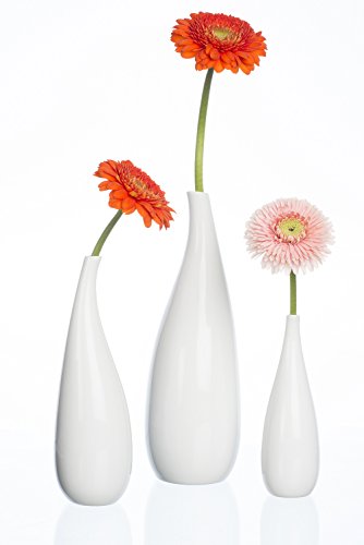 SANDRA RICH, Porzellan- VASE "CURVED" 25 cm. Für Einzelblumen. (Nur für Trockendeko) von Sandra Rich