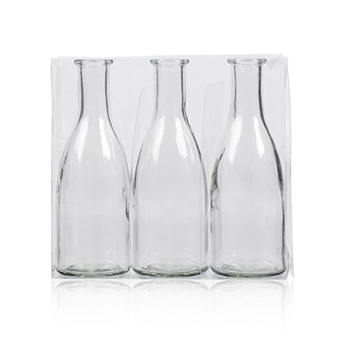 SANDRA RICH. GLAS VASE "BOTTLE groß". 3 Flaschen ca 18,5 x 6,5 cm. Natur / KLAR -99 von Sandra Rich