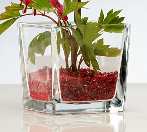 Sandra Rich 5X Glasvase Cube Glasvase Teelichtglas Windlicht Vase Glas Würfel, Ø 10 cm von Sandra Rich