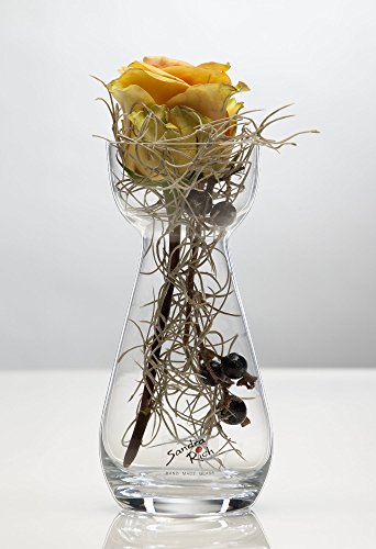 Sandra Rich 6X Glasvase Hyacinth Hyazinthenglas Vase Glas Blumenvase Tischvase, 17 cm von Sandra Rich