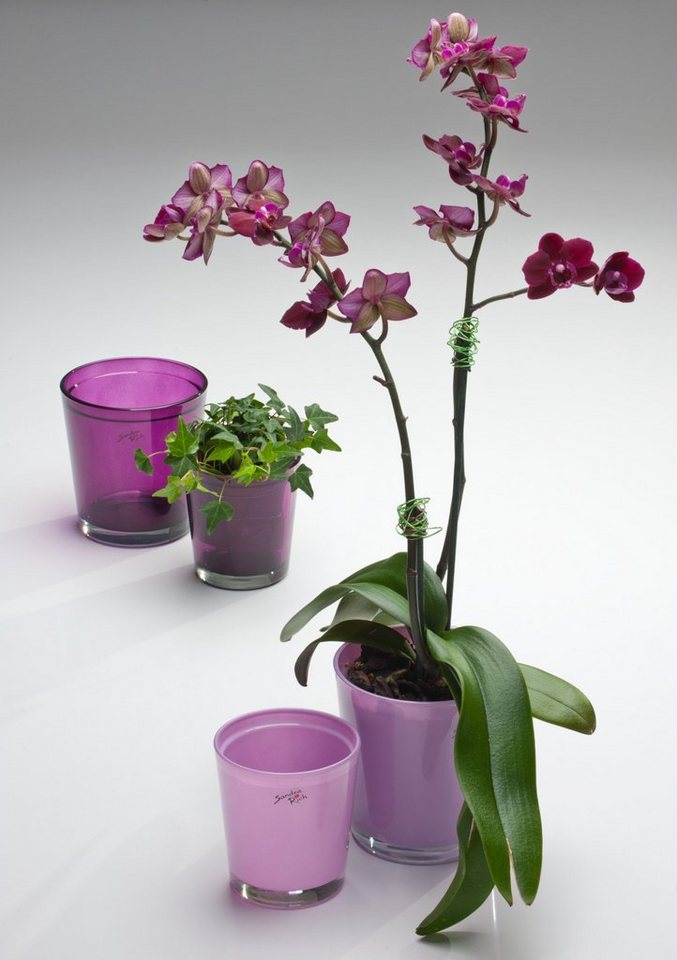 Sandra Rich Blumentopf Orchideentopf Orchid konisch von Sandra Rich von Sandra Rich