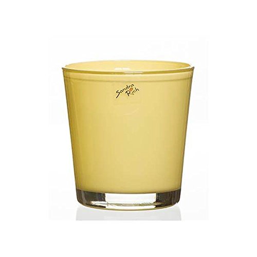 Sandra Rich Glas Orchideentopf Blumentopf Orchid Vanilla gelb H. 13,5cm D.12,5cm von Sandra Rich